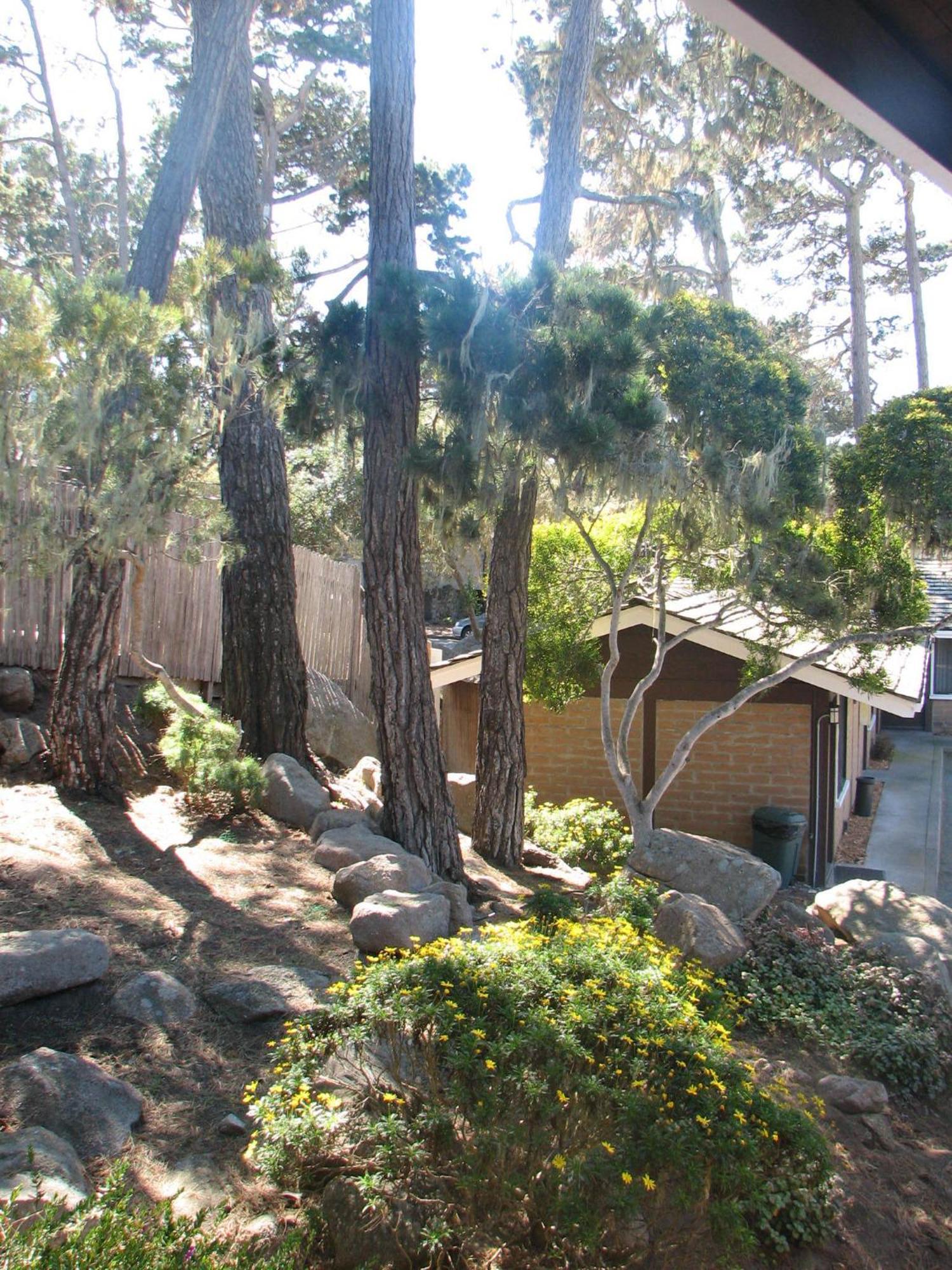 Lighthouse Lodge & Cottages Пасифик Гроув Екстериор снимка